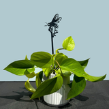 Honey Bee Single Plant Stake - 25"