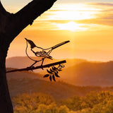 Mockingbird