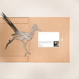 Road Runner