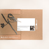 Chickadee