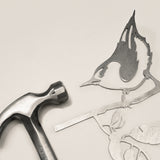 Nuthatch