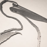 Pelican