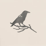 Crow