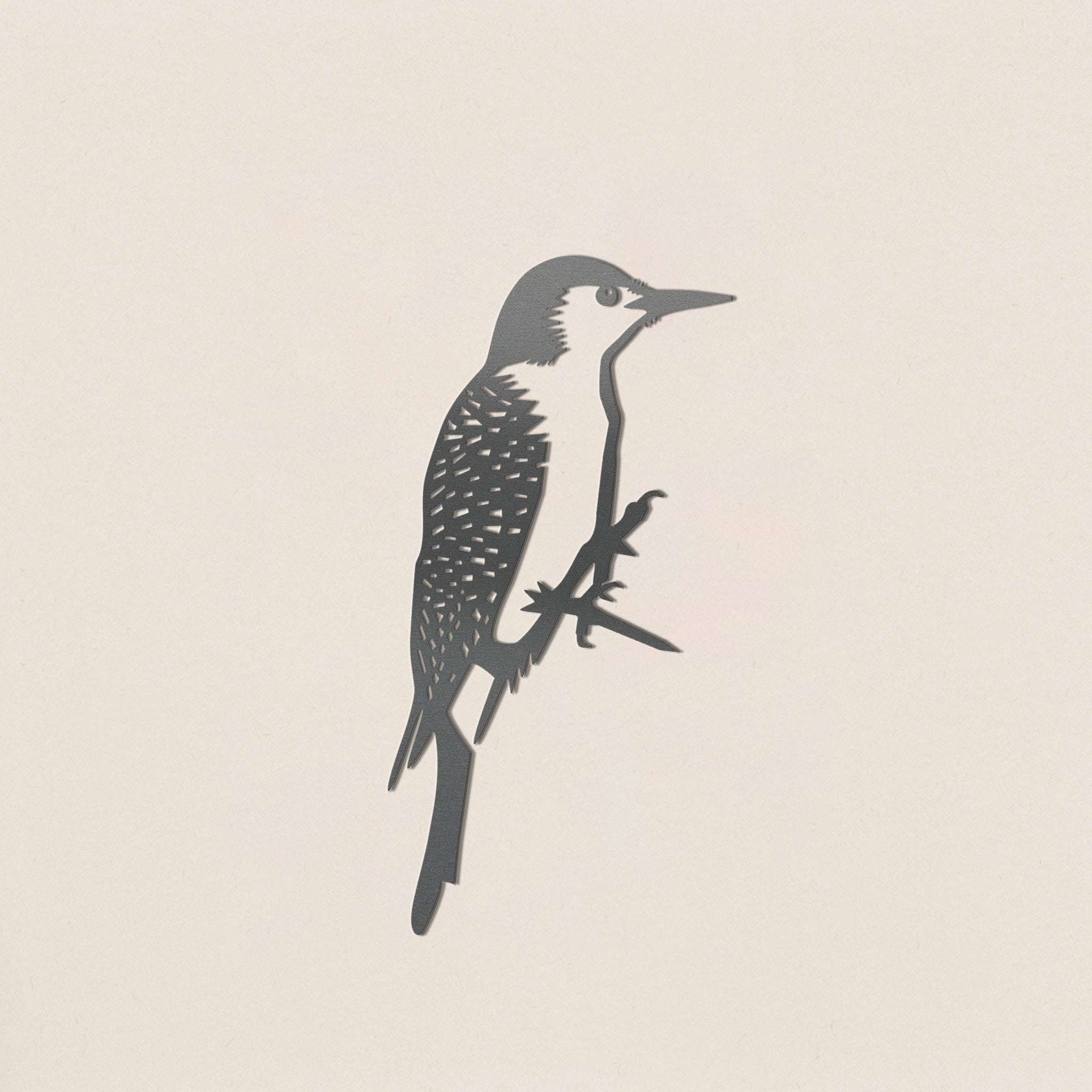 Red-Bellied Woodpecker