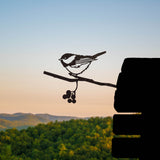 Chickadee