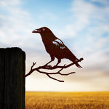 Crow