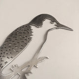 Red-Bellied Woodpecker