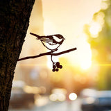 Chickadee