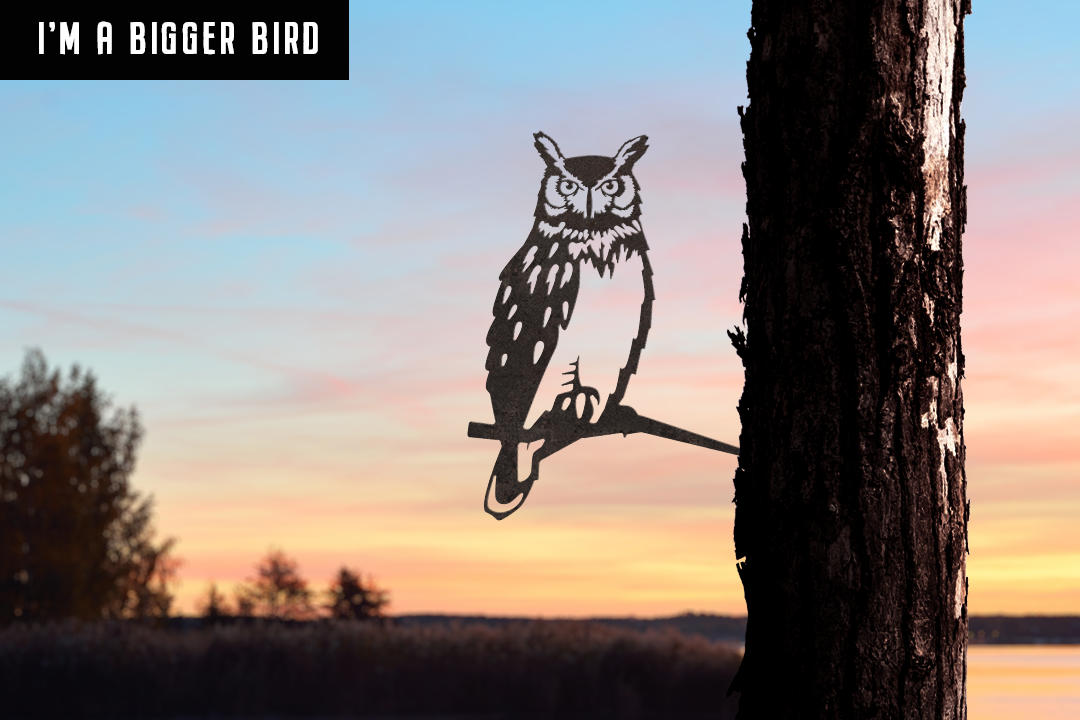 Great Horned Owl - Large
