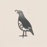 California Quail