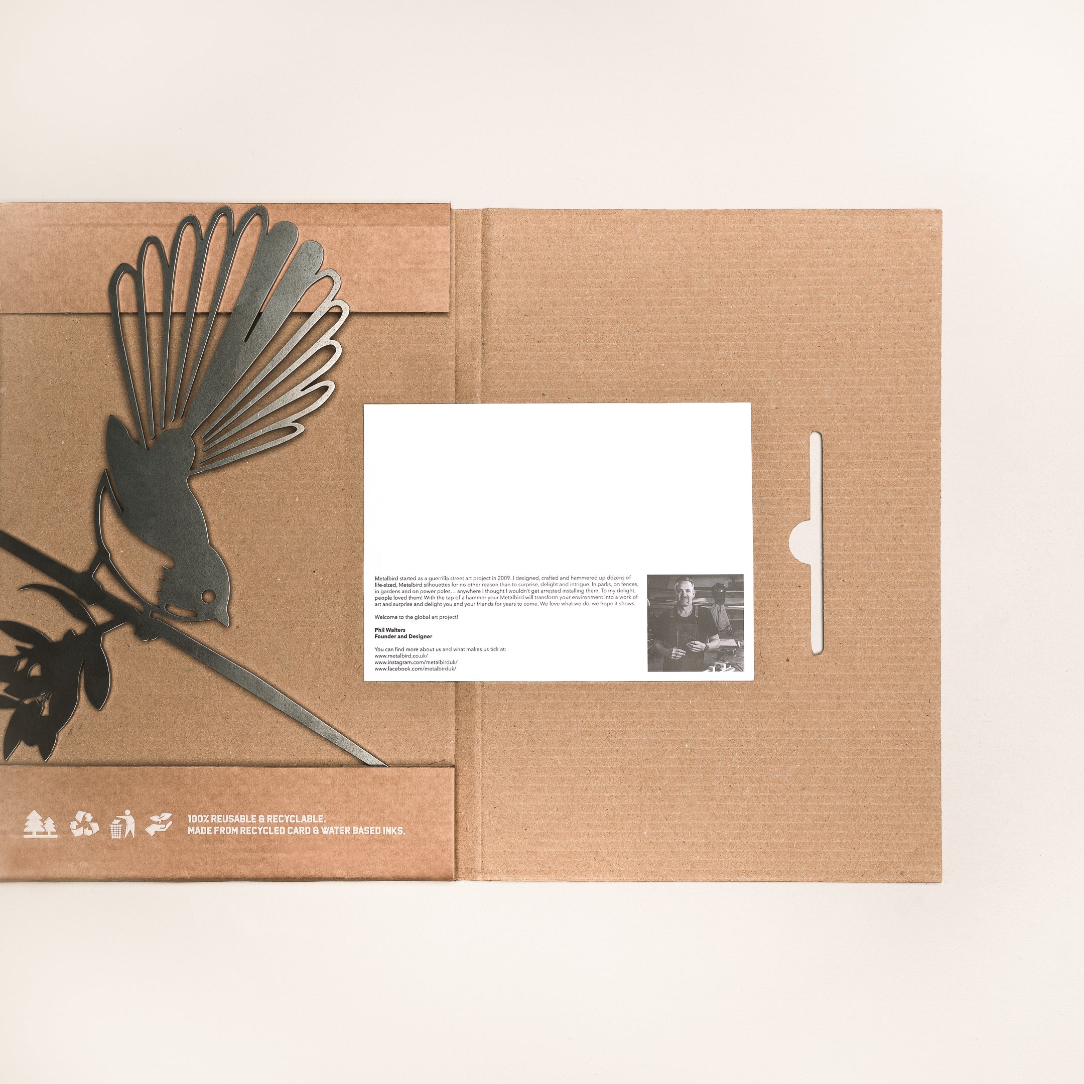 Fantail (The New Zealand Piwakawaka)