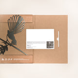 Fantail (The New Zealand Piwakawaka)