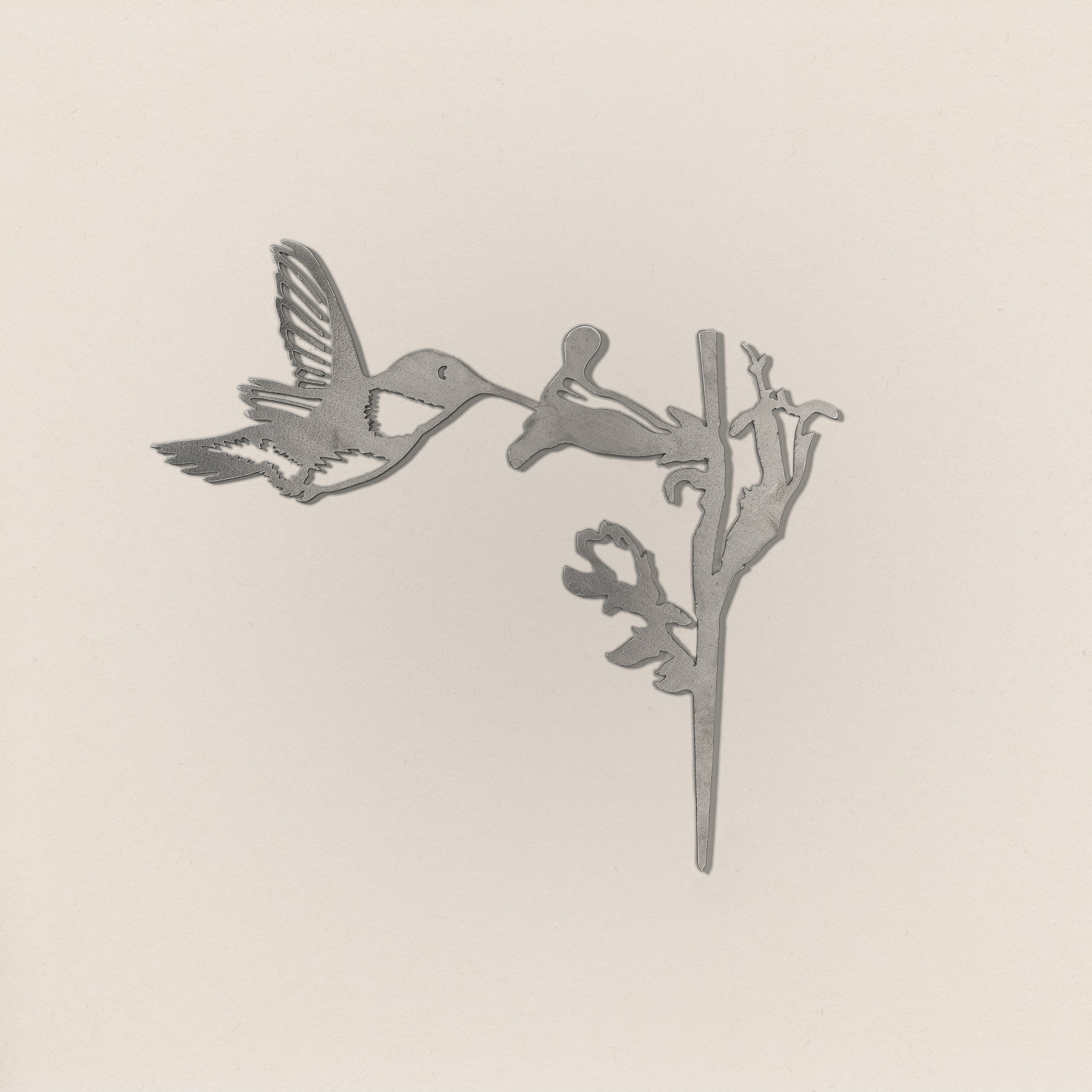 Hummingbird