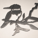 Belted Kingfisher