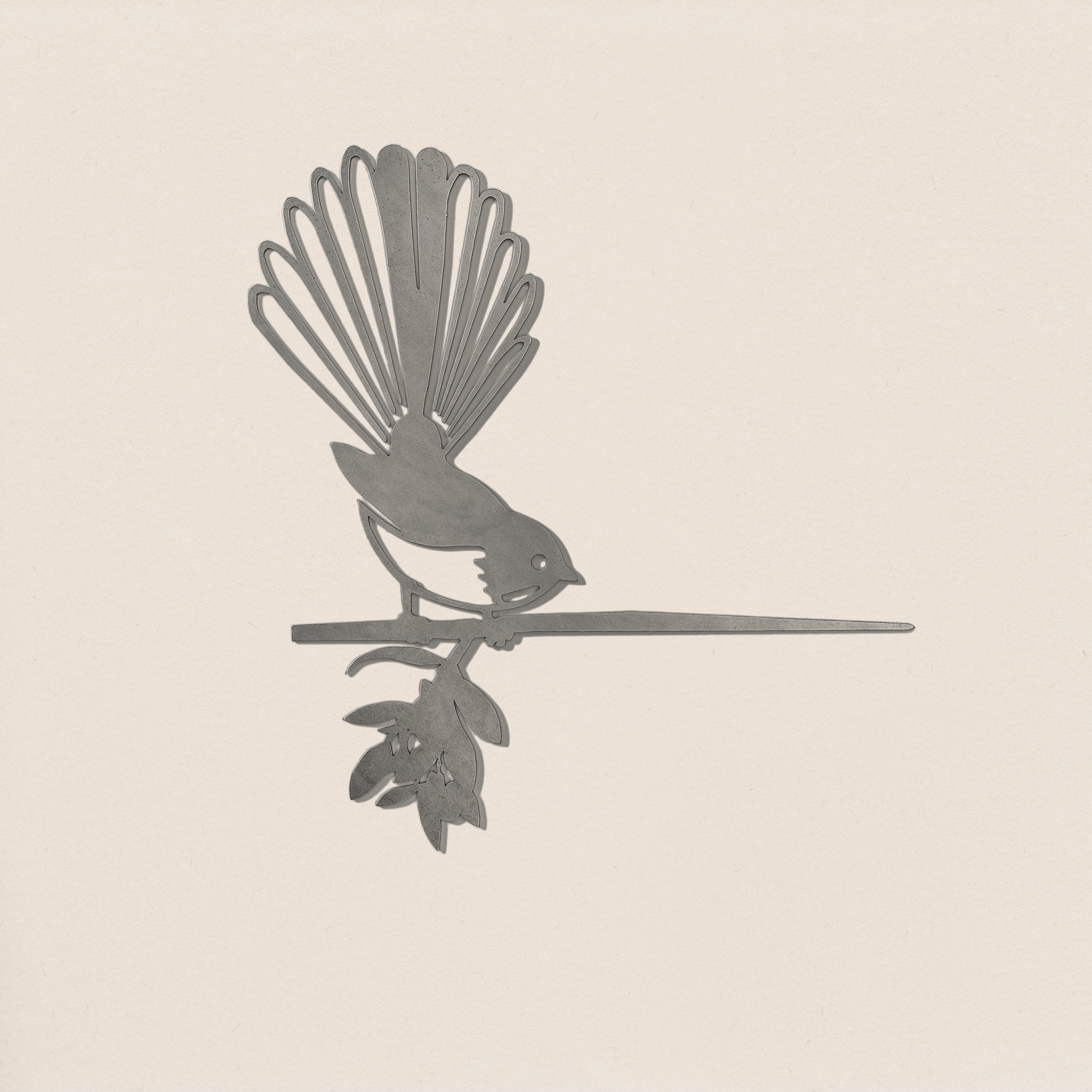 Fantail (The New Zealand Piwakawaka)