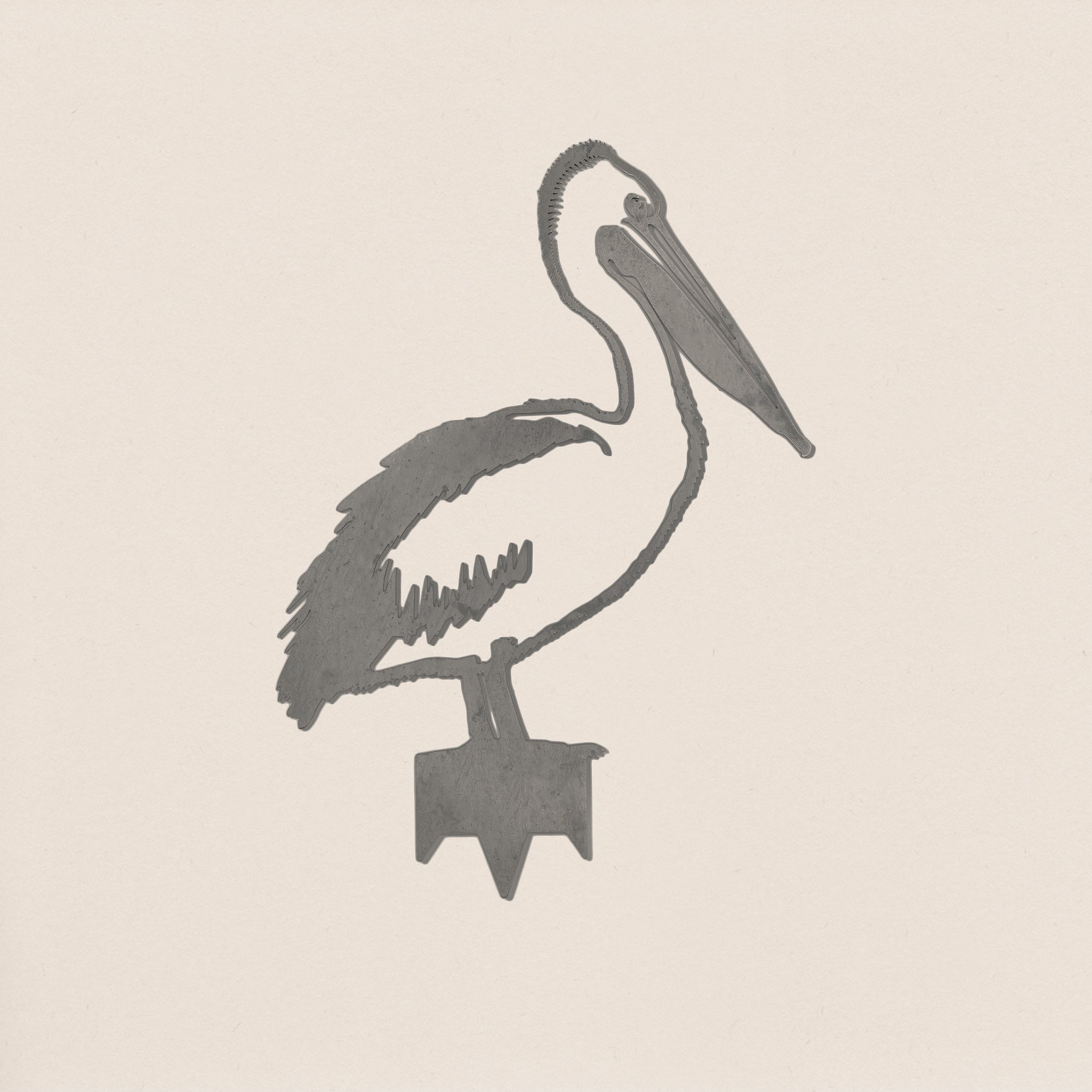 Pelican
