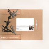 Hummingbird