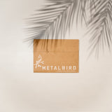 Fantail (The New Zealand Piwakawaka)