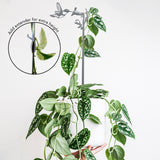 Hummingbird Plant Stake - 25"