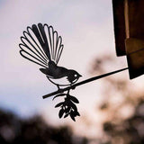 Fantail (The New Zealand Piwakawaka)